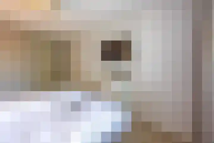 Nieuwenhuisstraat 1 Rijssen thumbnail 27