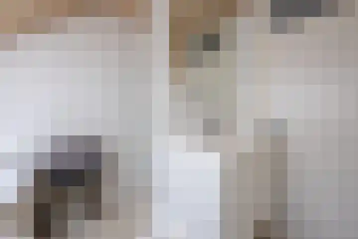 Nieuwenhuisstraat 1 Rijssen thumbnail 31
