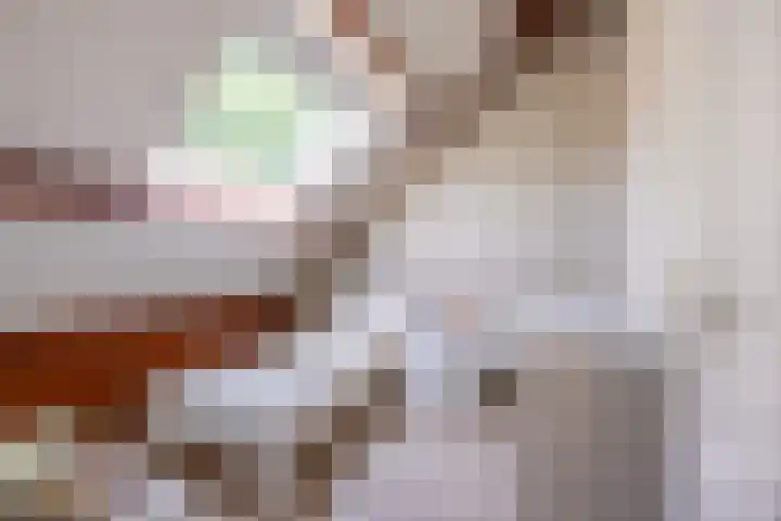 Nieuwenhuisstraat 1 Rijssen thumbnail 43