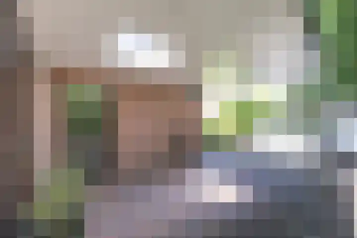Nieuwenhuisstraat 1 Rijssen thumbnail 46