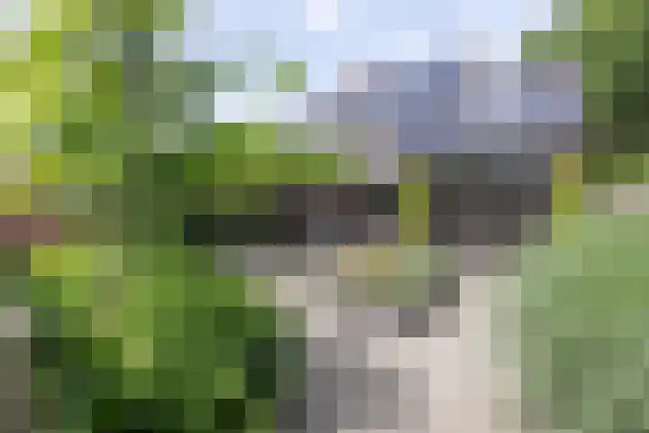 Nieuwenhuisstraat 1 Rijssen thumbnail 47