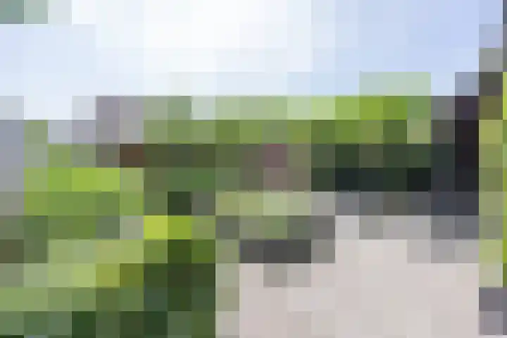 Nieuwenhuisstraat 1 Rijssen thumbnail 48