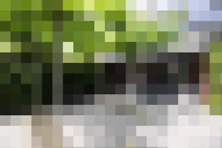 Nieuwenhuisstraat 1 Rijssen thumbnail 49
