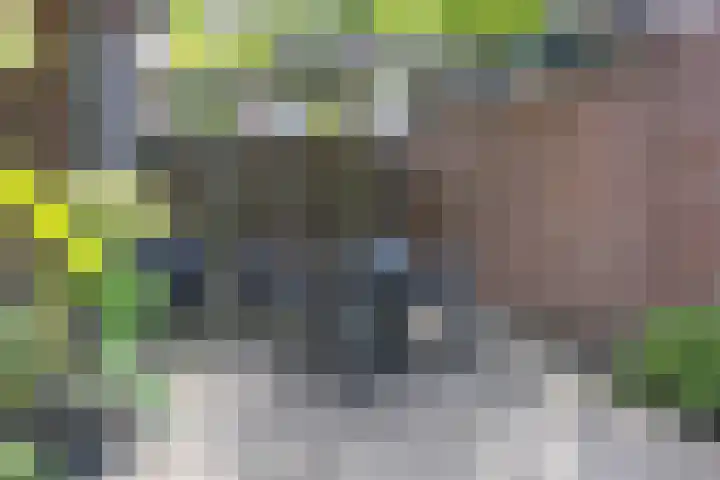 Nieuwenhuisstraat 1 Rijssen thumbnail 50