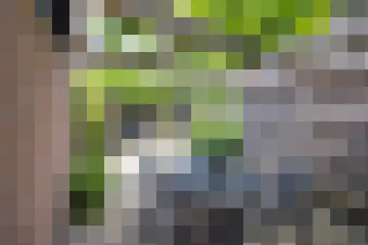 Nieuwenhuisstraat 1 Rijssen thumbnail 51