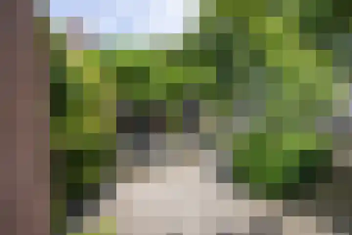 Nieuwenhuisstraat 1 Rijssen thumbnail 52