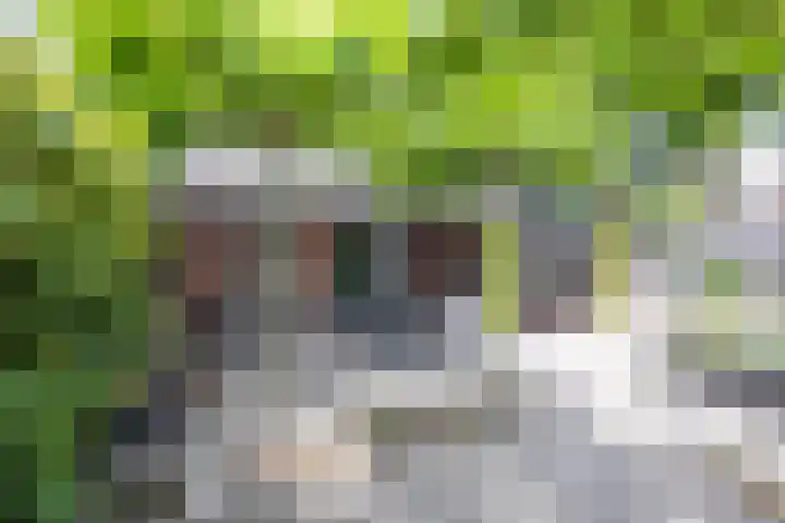 Nieuwenhuisstraat 1 Rijssen thumbnail 53