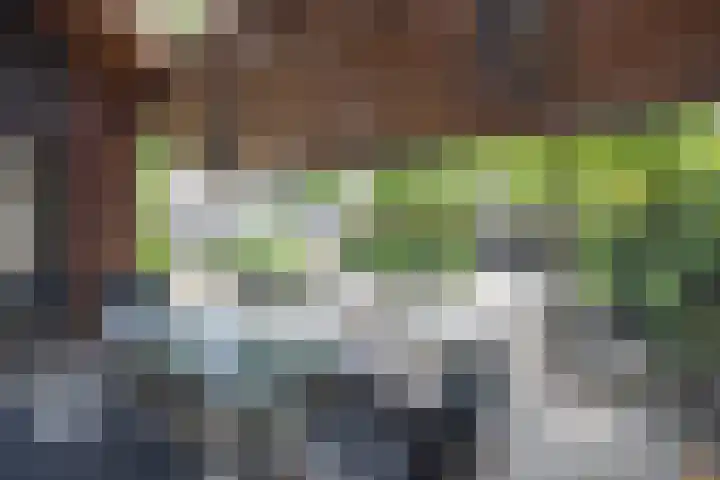 Nieuwenhuisstraat 1 Rijssen thumbnail 55