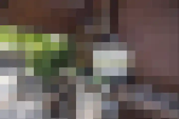 Nieuwenhuisstraat 1 Rijssen thumbnail 56