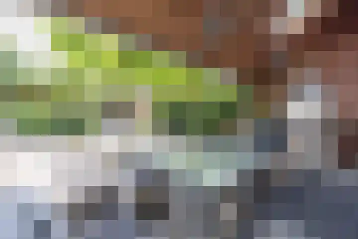 Nieuwenhuisstraat 1 Rijssen thumbnail 59