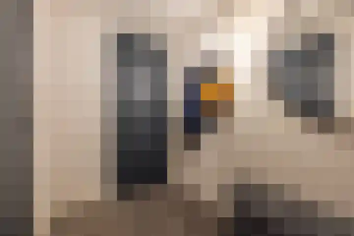 Nieuwenhuisstraat 1 Rijssen thumbnail 6