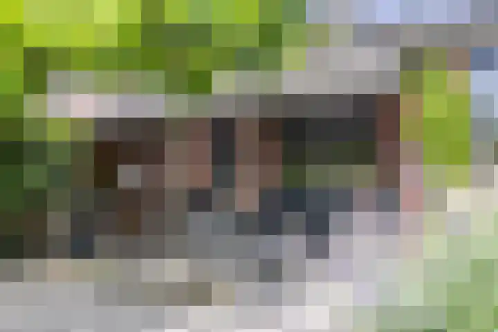 Nieuwenhuisstraat 1 Rijssen thumbnail 60