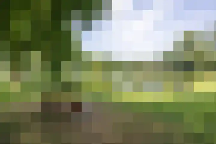 Nieuwenhuisstraat 1 Rijssen thumbnail 62