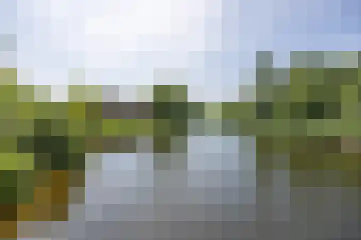Nieuwenhuisstraat 1 Rijssen thumbnail 64