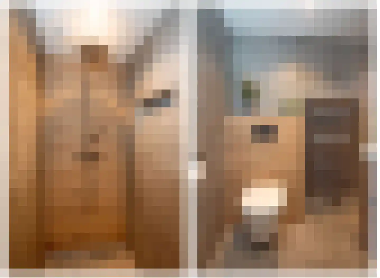 Nieuwenhuisstraat 11 Rijssen thumbnail 13