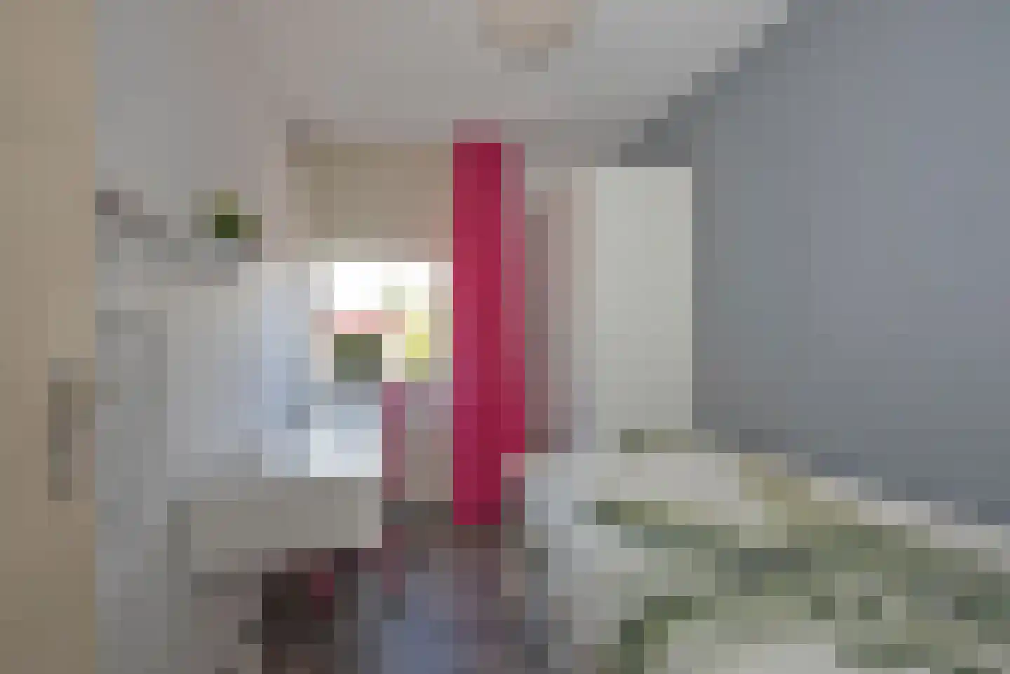 Nieuwenhuisstraat 11 Rijssen thumbnail 16