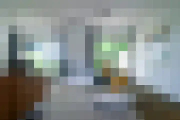 Nieuwenhuisstraat 62 Rijssen thumbnail 10