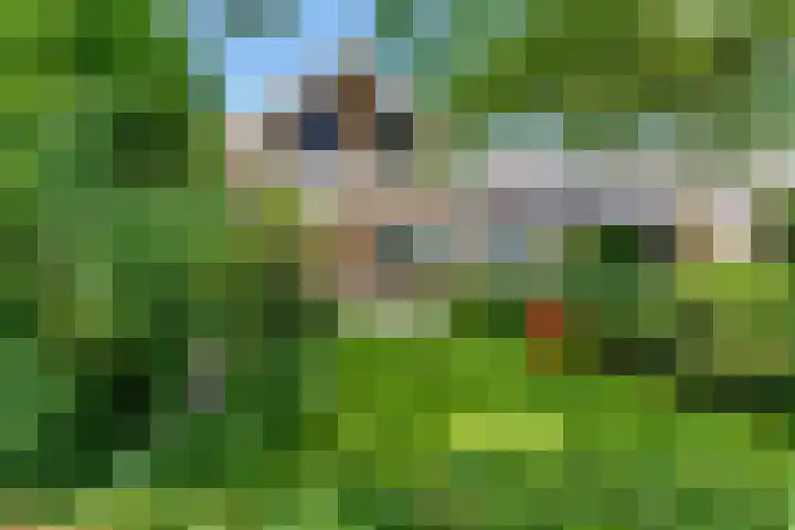 Nieuwenhuisstraat 62 Rijssen thumbnail 30