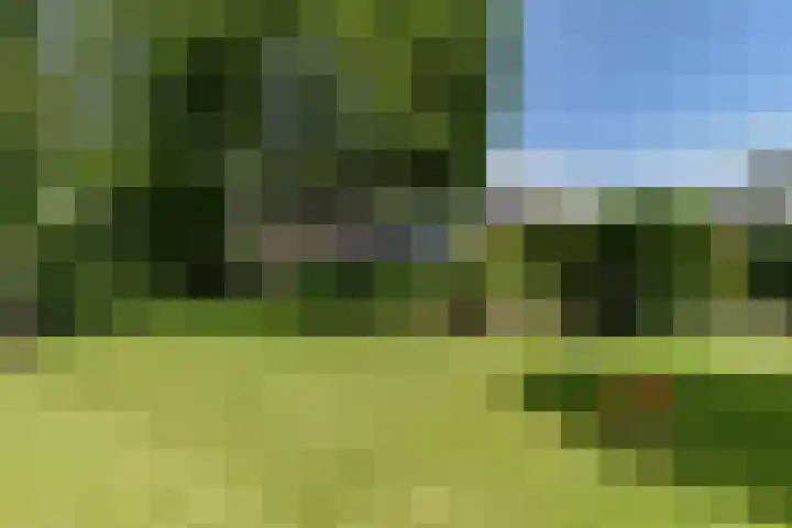 Nieuwenhuisstraat 62 Rijssen thumbnail 32