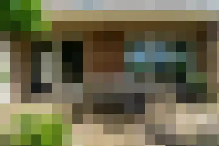 Nieuwenhuisstraat 62 Rijssen thumbnail 33