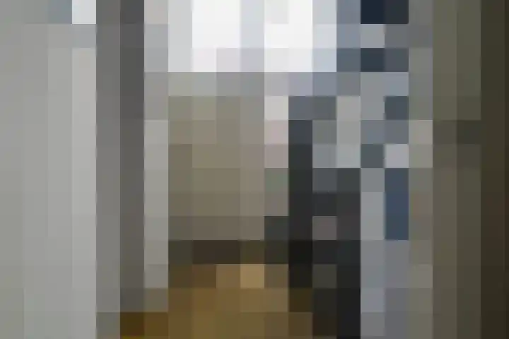 Nieuwenhuisstraat 62 Rijssen thumbnail 5