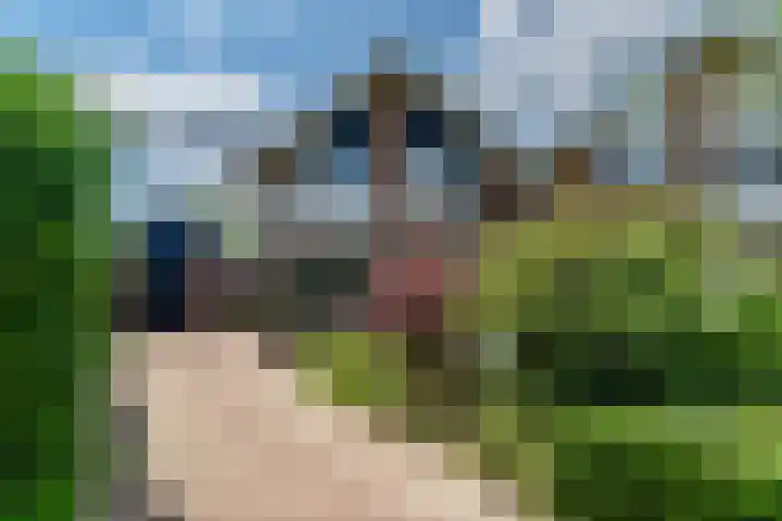 Nieuwenhuisstraat 62 Rijssen thumbnail 53