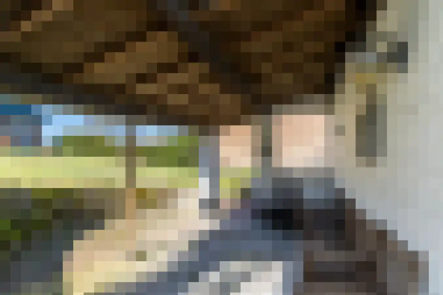 Nieuwenhuysstraat 21 Hulsberg thumbnail 44