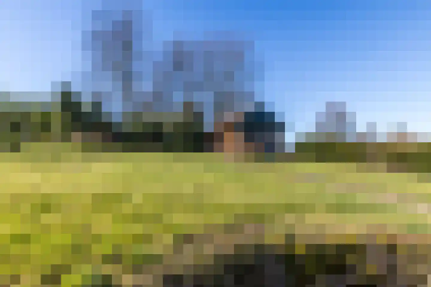 Nieuwenhuysstraat 21 Hulsberg thumbnail 45