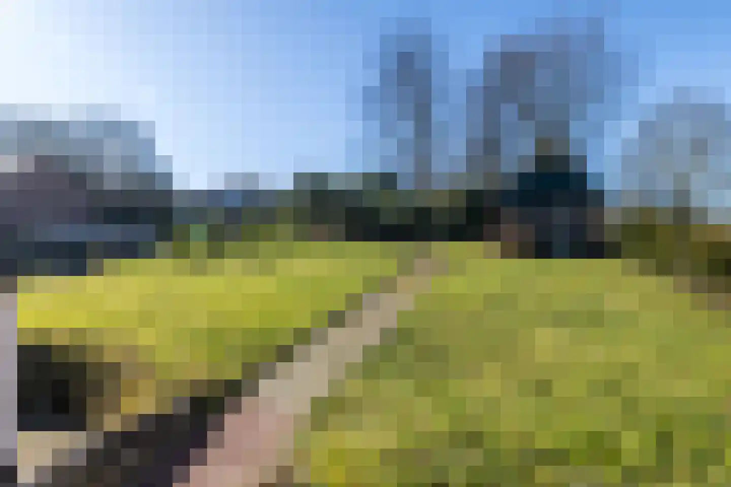 Nieuwenhuysstraat 21 Hulsberg thumbnail 46