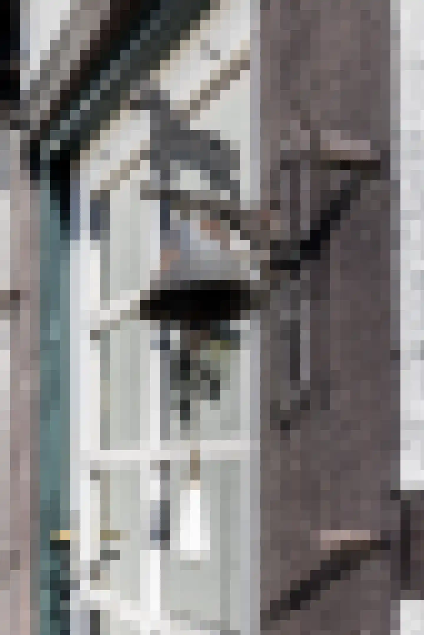 Nieuwenhuysstraat 21 Hulsberg thumbnail 52