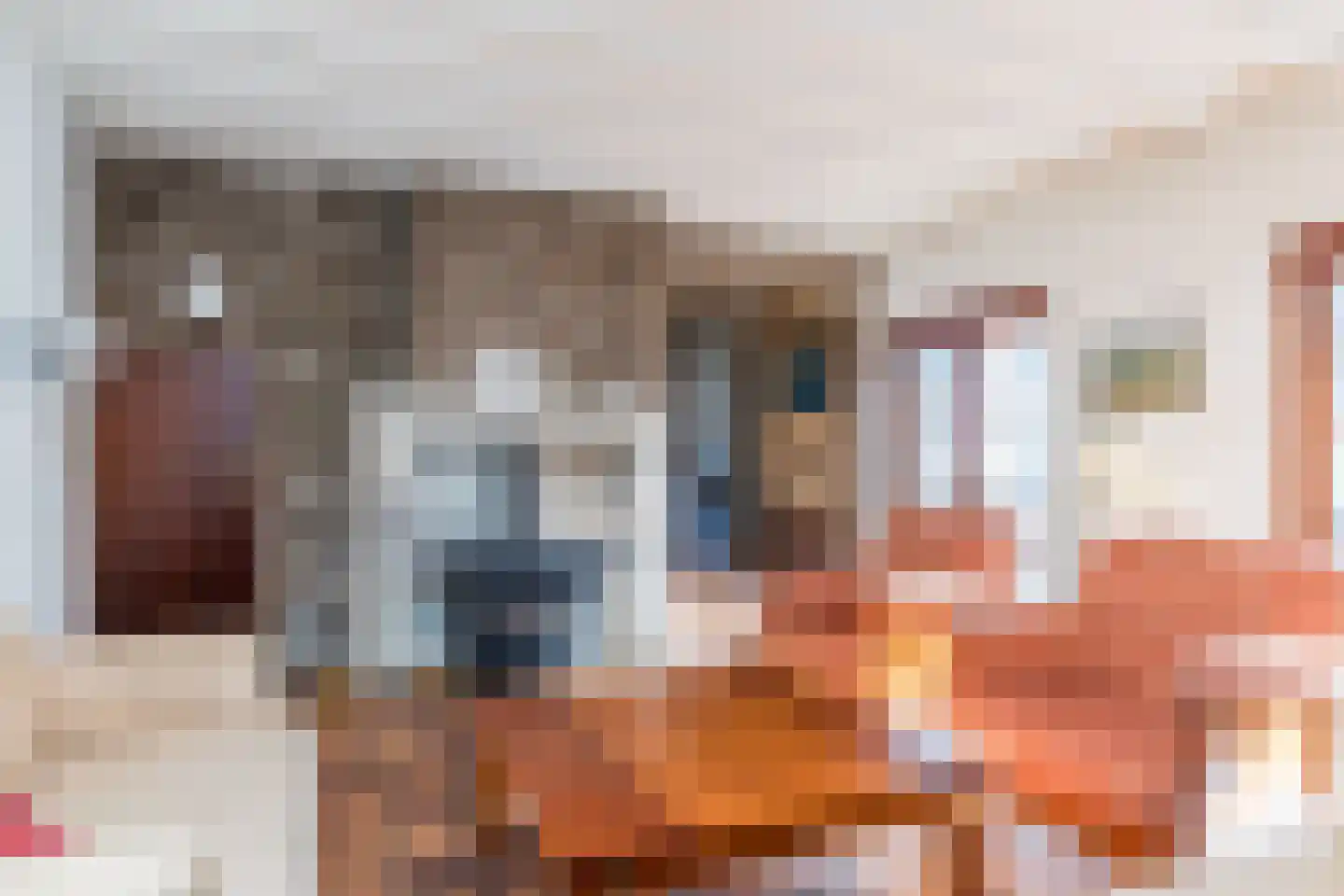 Nieuwenhuysstraat 21 Hulsberg thumbnail 8