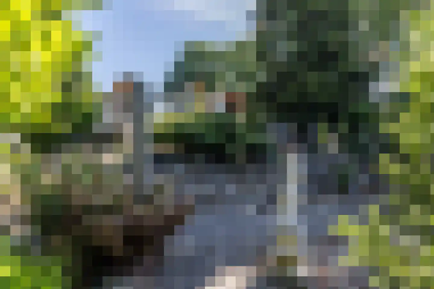 Nieuwenhuysstraat 36 Hulsberg thumbnail 56