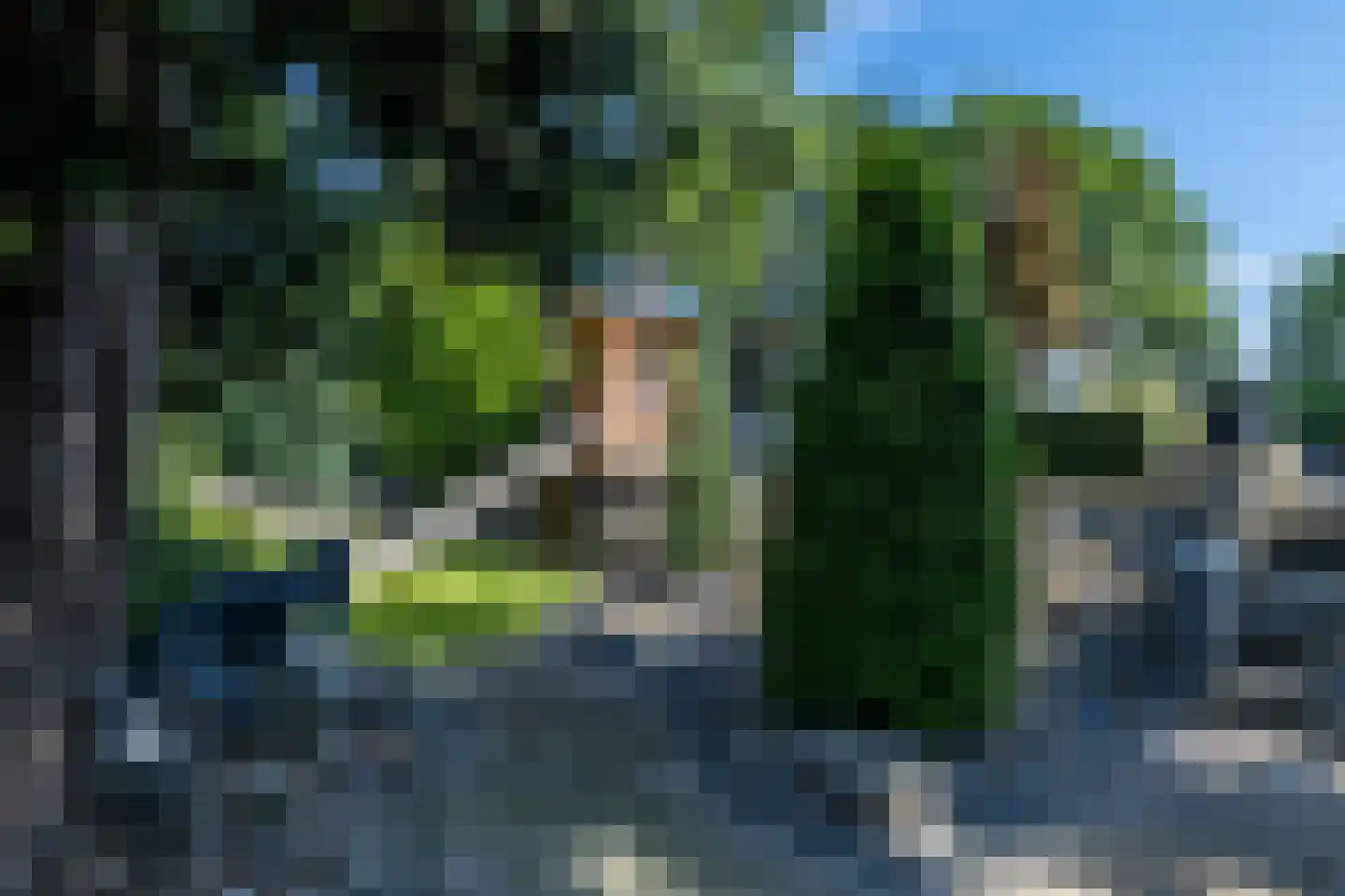Nieuwenhuysstraat 36 Hulsberg thumbnail 58