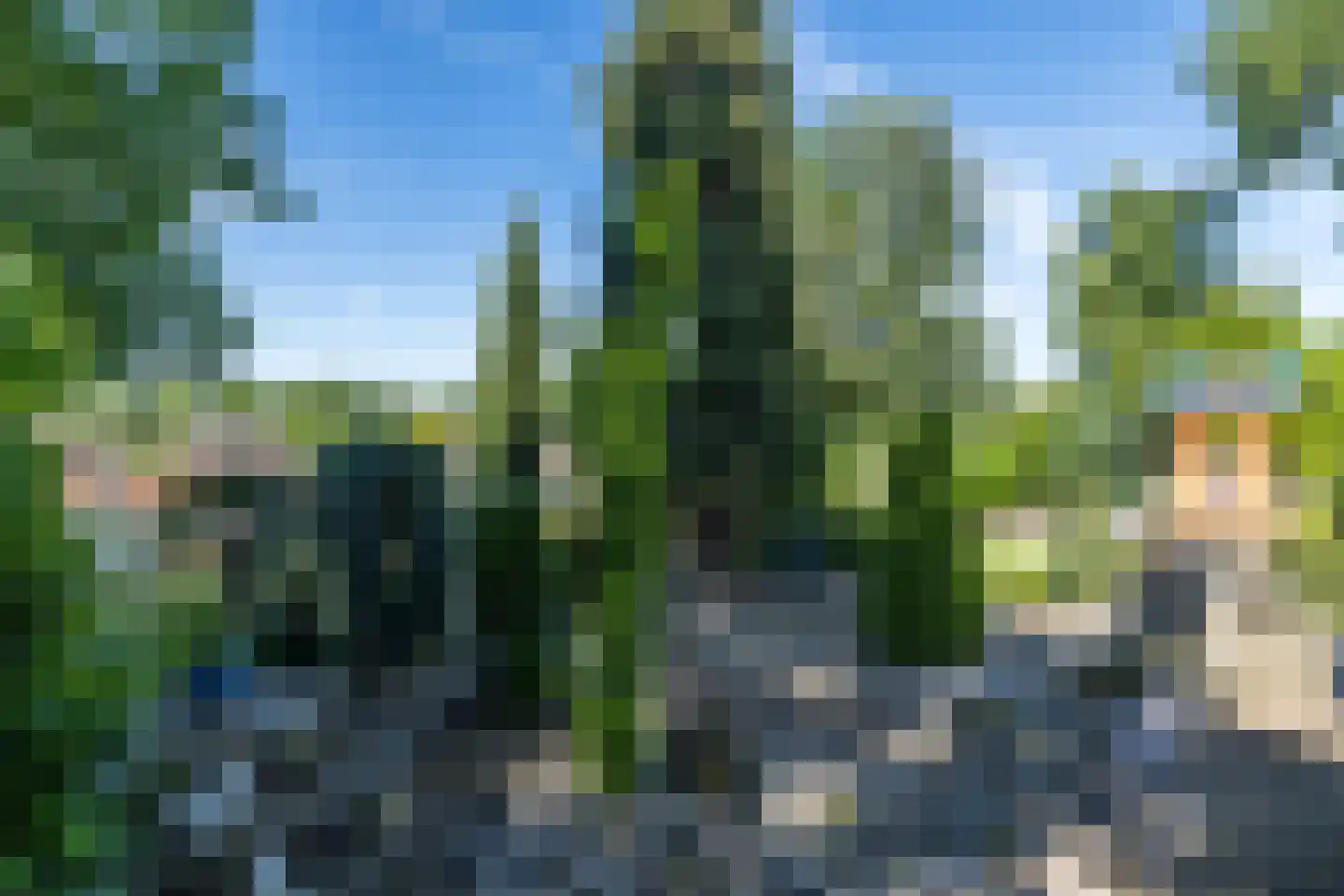 Nieuwenhuysstraat 36 Hulsberg thumbnail 59