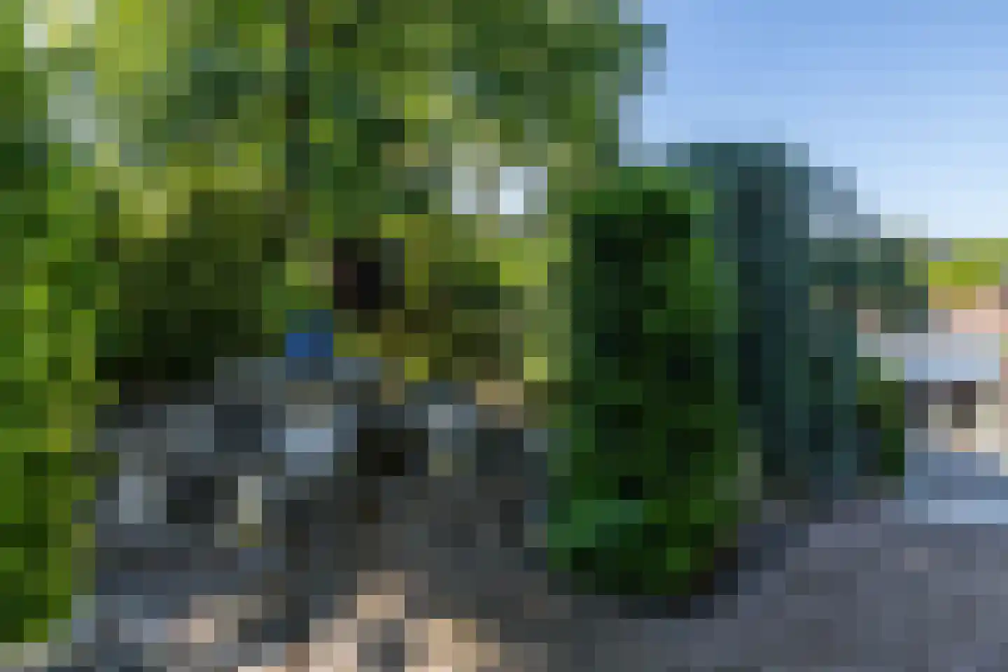 Nieuwenhuysstraat 36 Hulsberg thumbnail 60