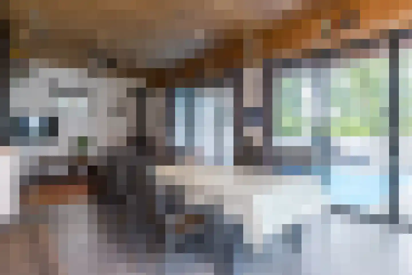 Nieuwenhuysstraat 36 Hulsberg thumbnail 65