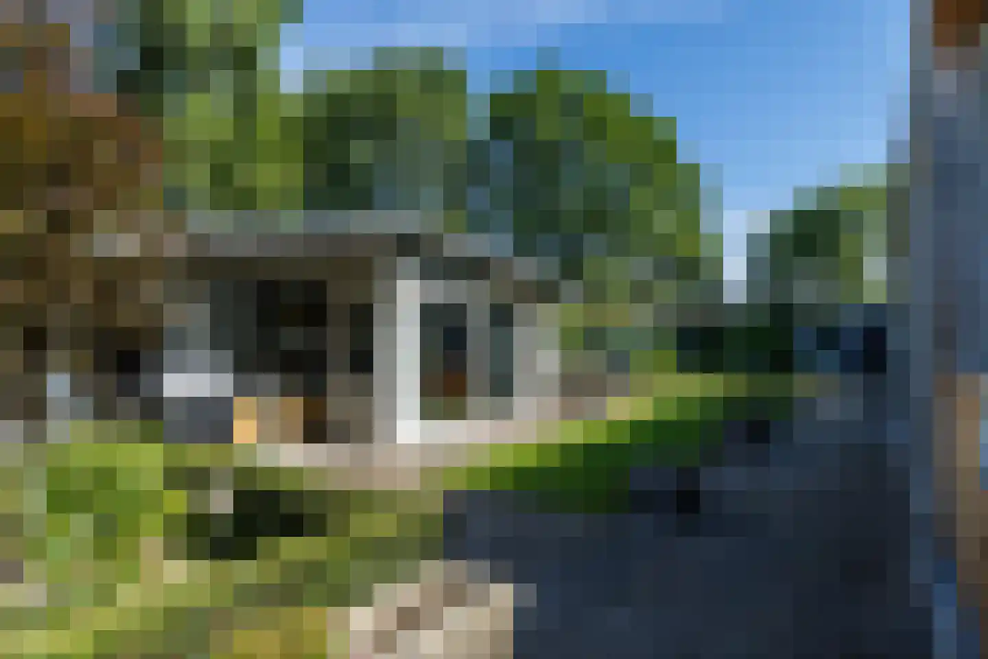 Nieuwenhuysstraat 36 Hulsberg thumbnail 74