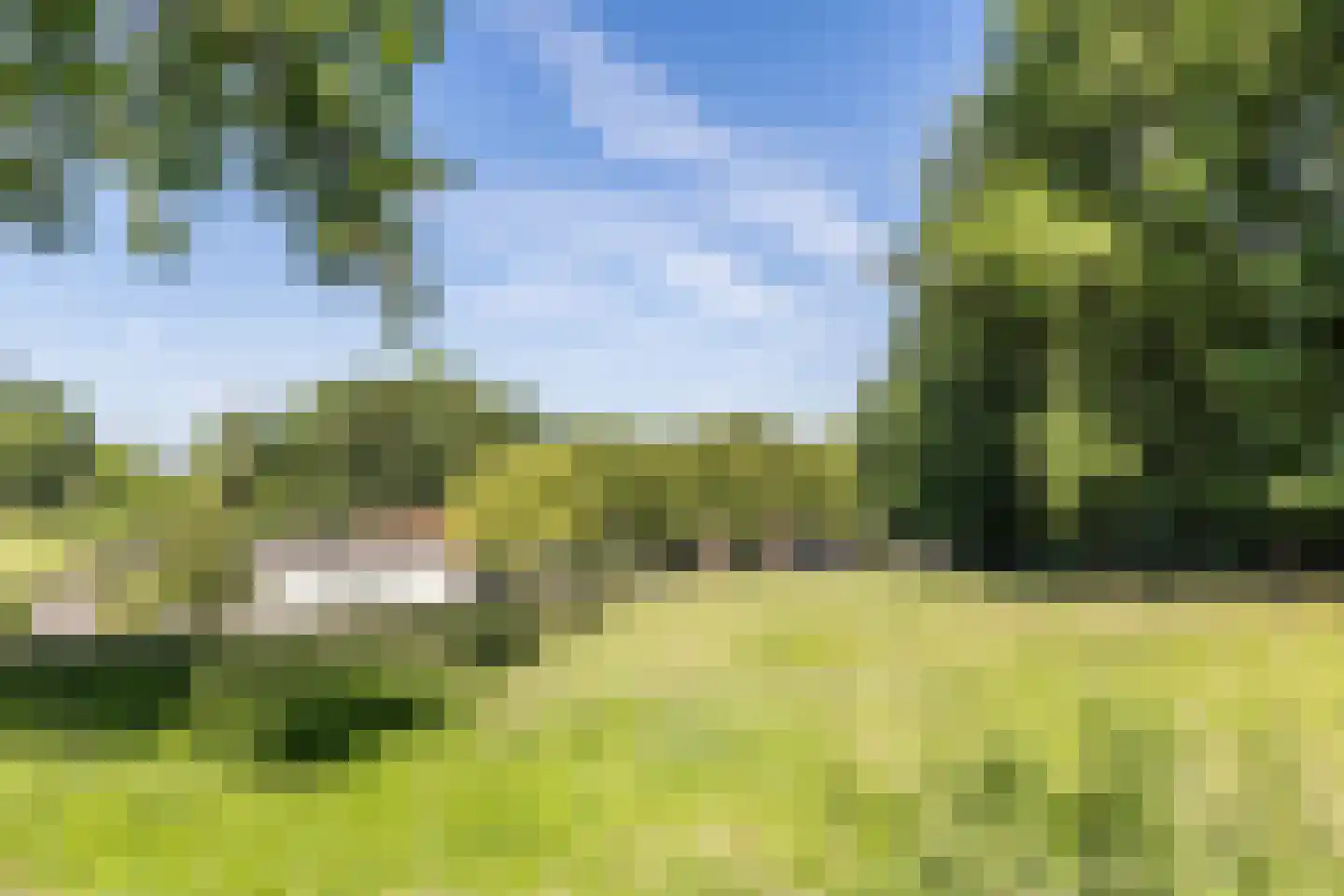 Nieuwenhuysstraat 36 Hulsberg thumbnail 78