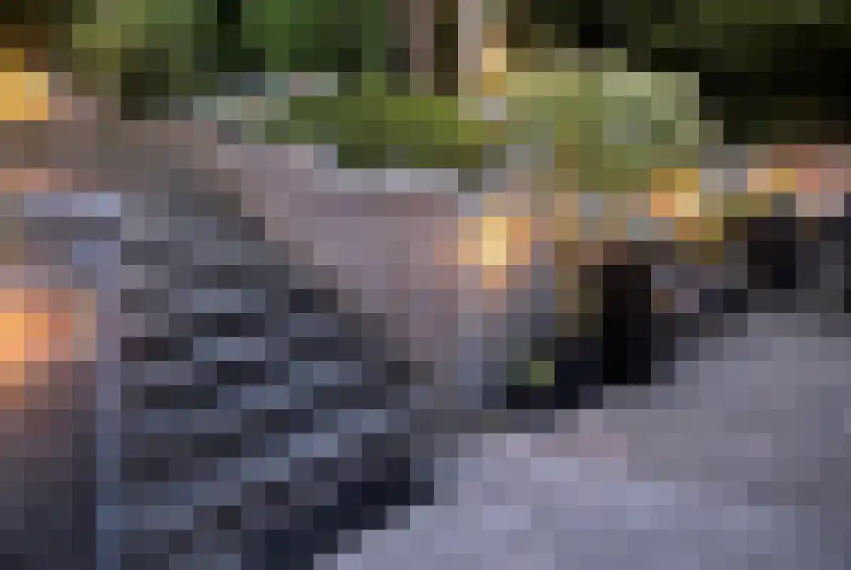 Nieuwenhuysstraat 36 Hulsberg thumbnail 93