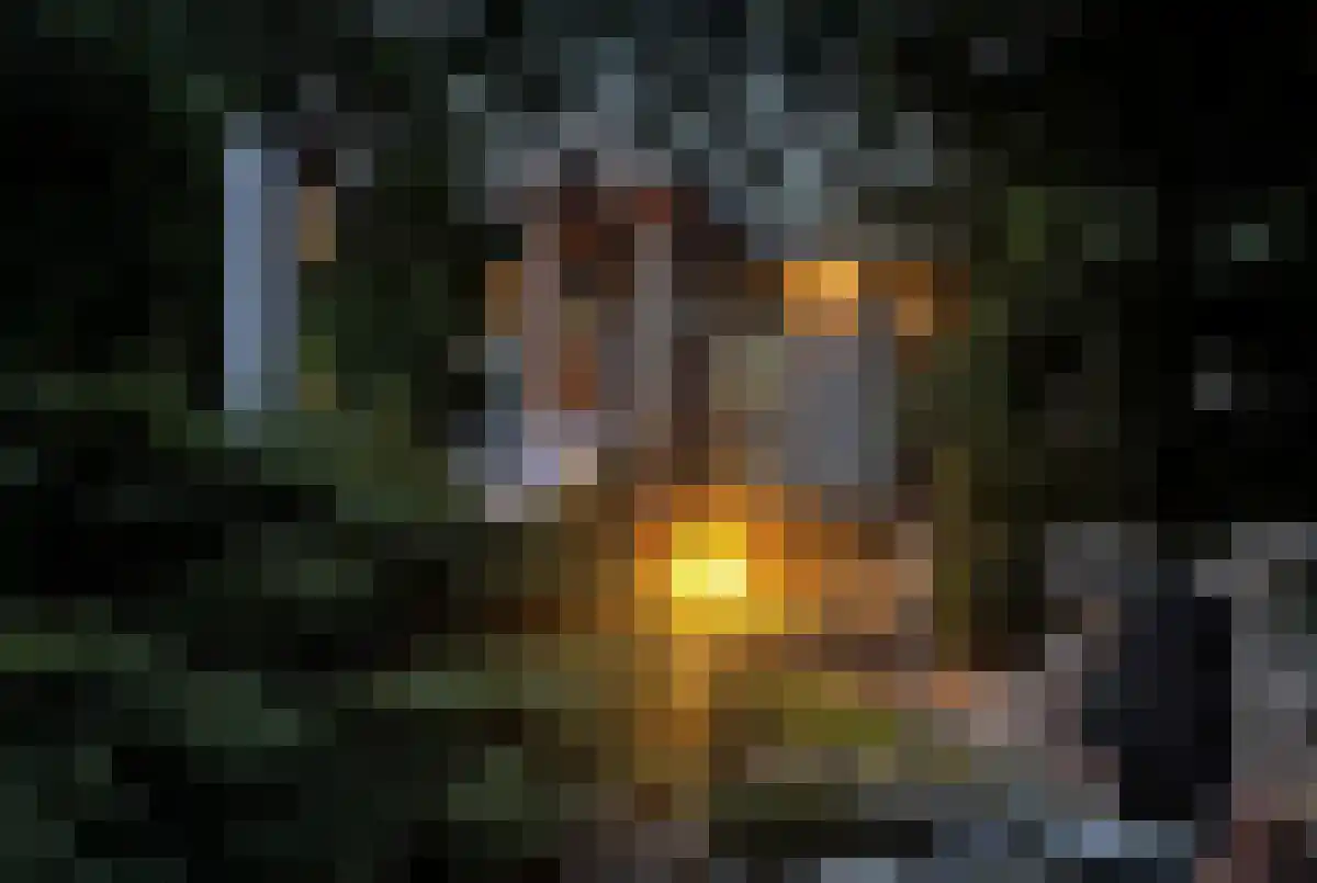 Nieuwenhuysstraat 36 Hulsberg thumbnail 94