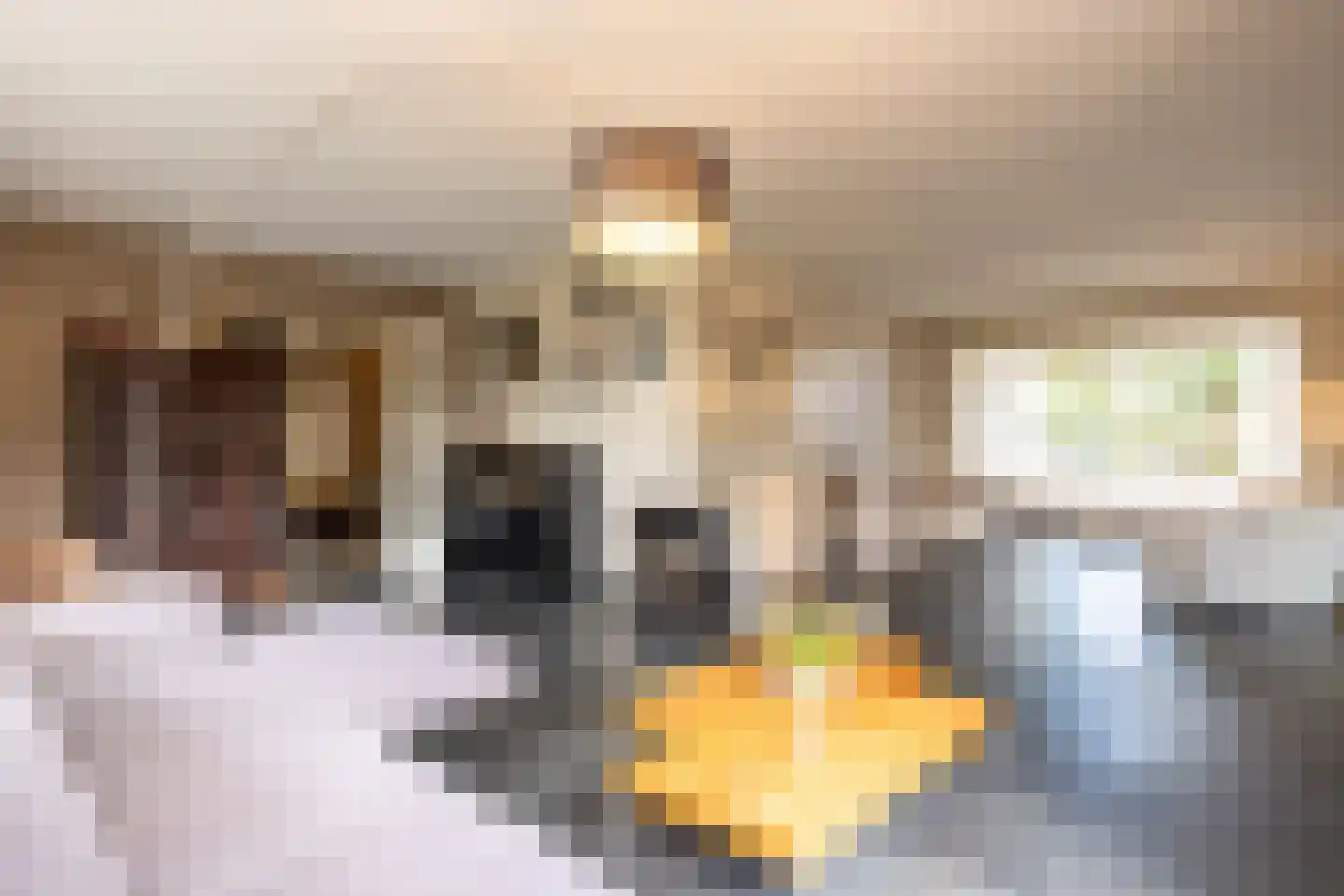 Nieuwenhuysstraat 60 Hulsberg thumbnail 12