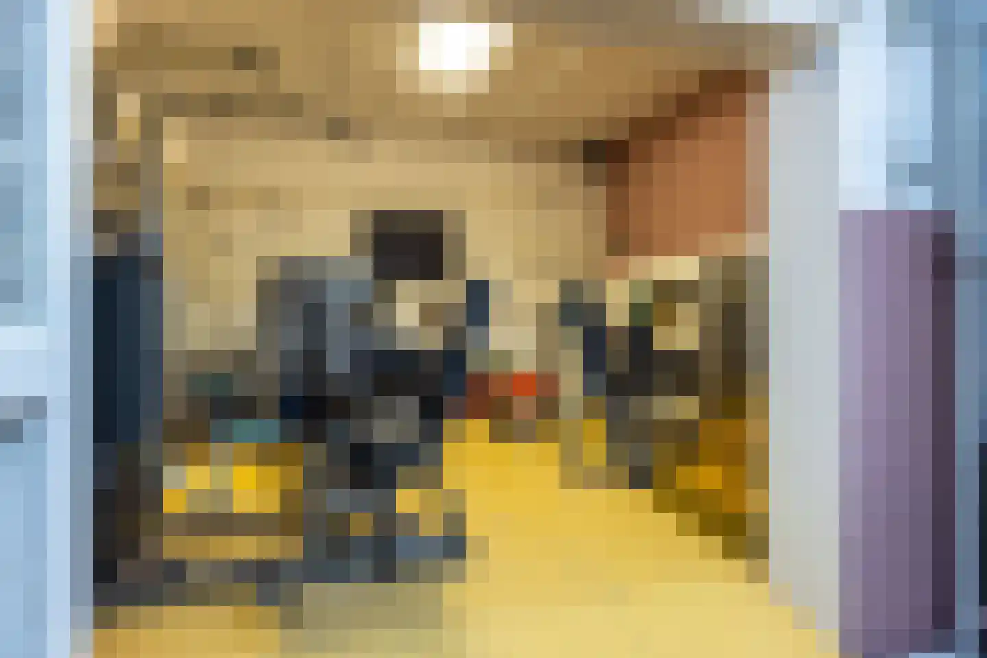 Nieuwenhuysstraat 60 Hulsberg thumbnail 34