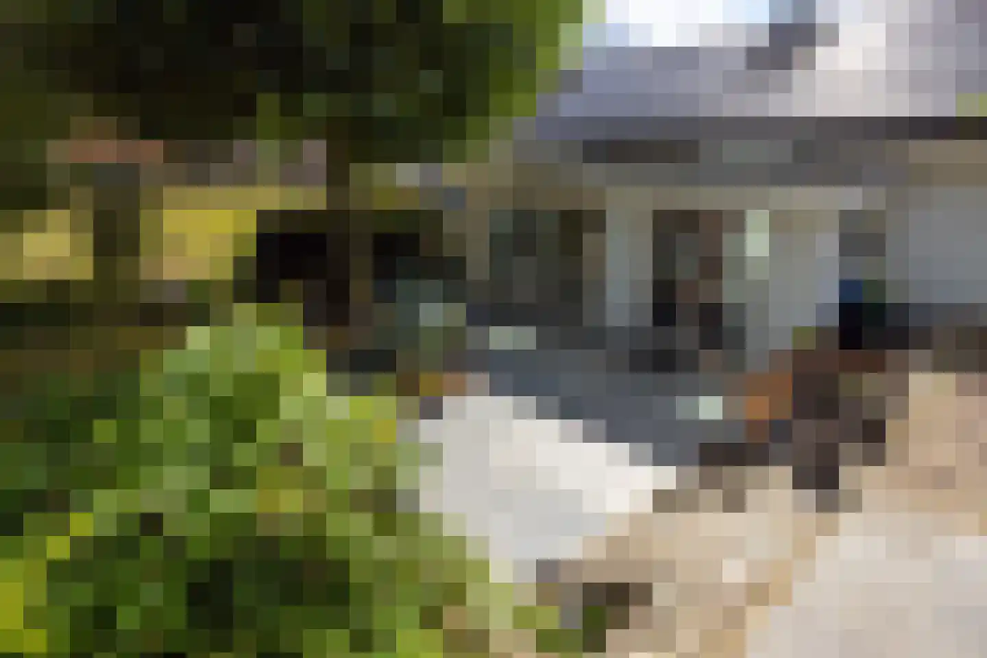 Nieuwenhuysstraat 60 Hulsberg thumbnail 38