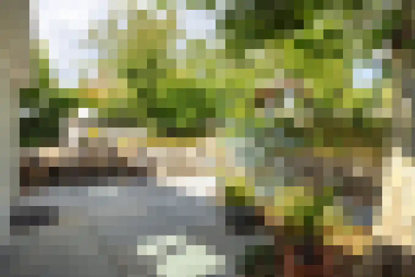 Nieuwenhuysstraat 60 Hulsberg thumbnail 39