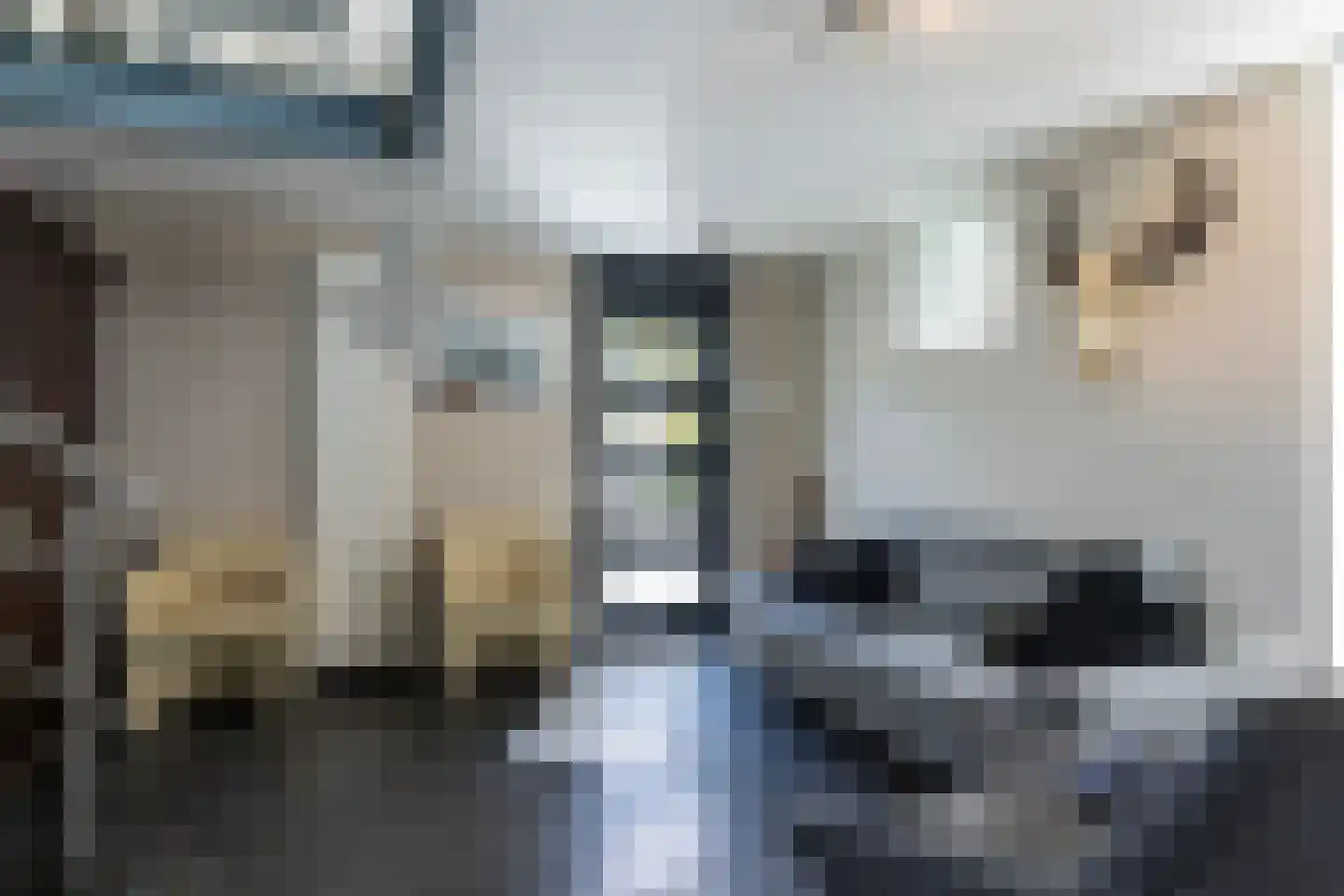 Nieuwenhuysstraat 60 Hulsberg thumbnail 4