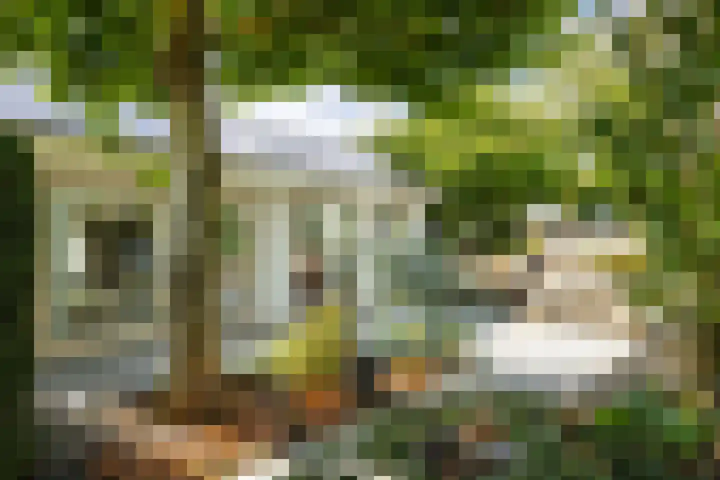 Nieuwenhuysstraat 60 Hulsberg thumbnail 40