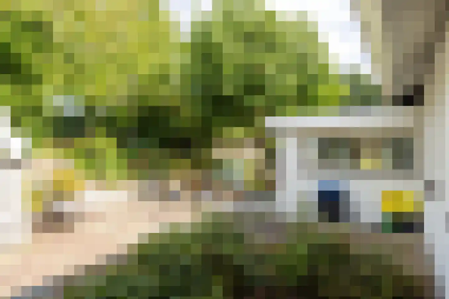 Nieuwenhuysstraat 60 Hulsberg thumbnail 41