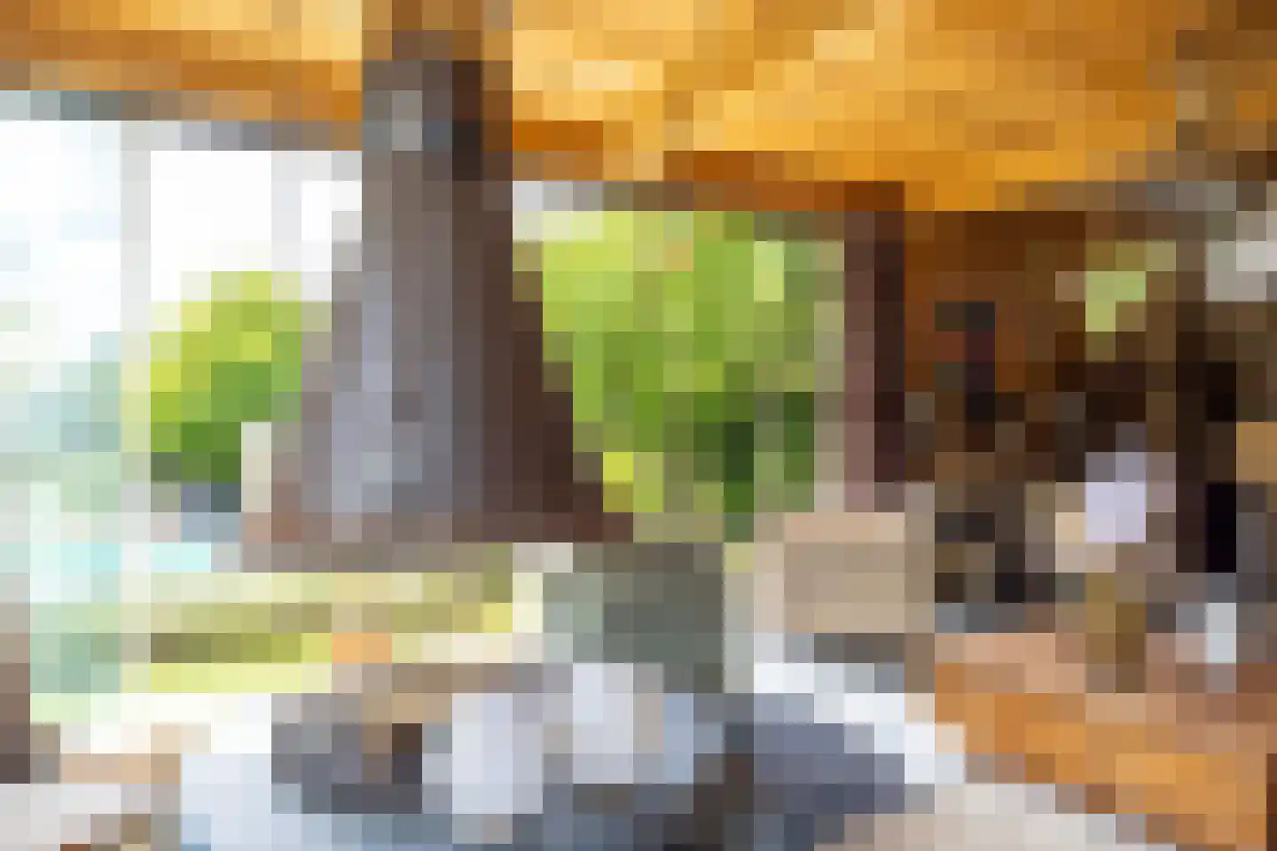 Nieuwenhuysstraat 60 Hulsberg thumbnail 48