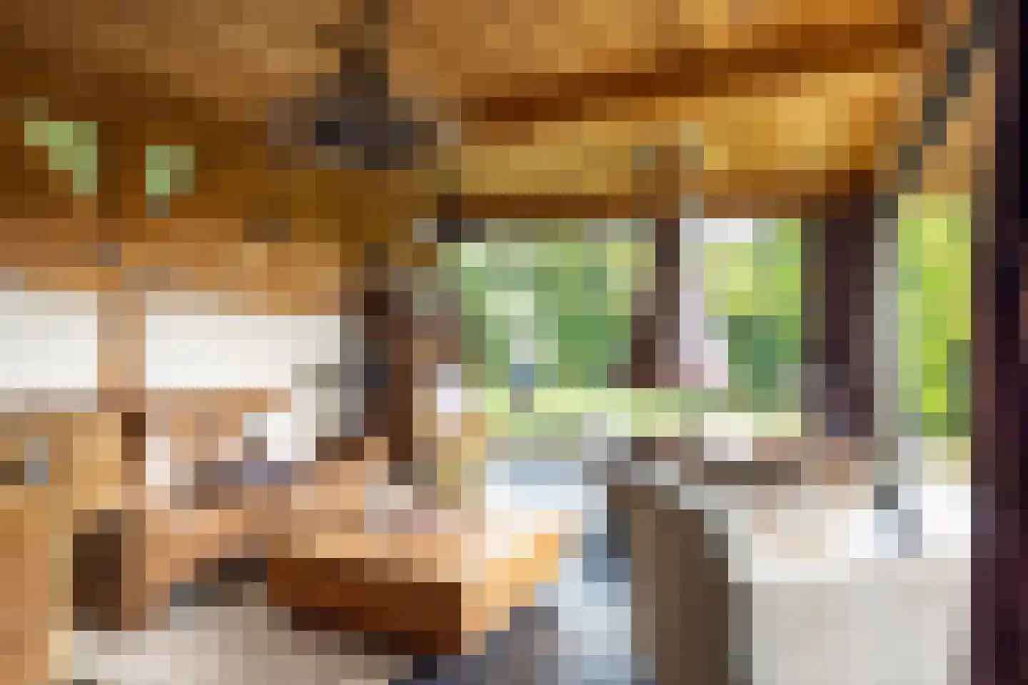 Nieuwenhuysstraat 60 Hulsberg thumbnail 49