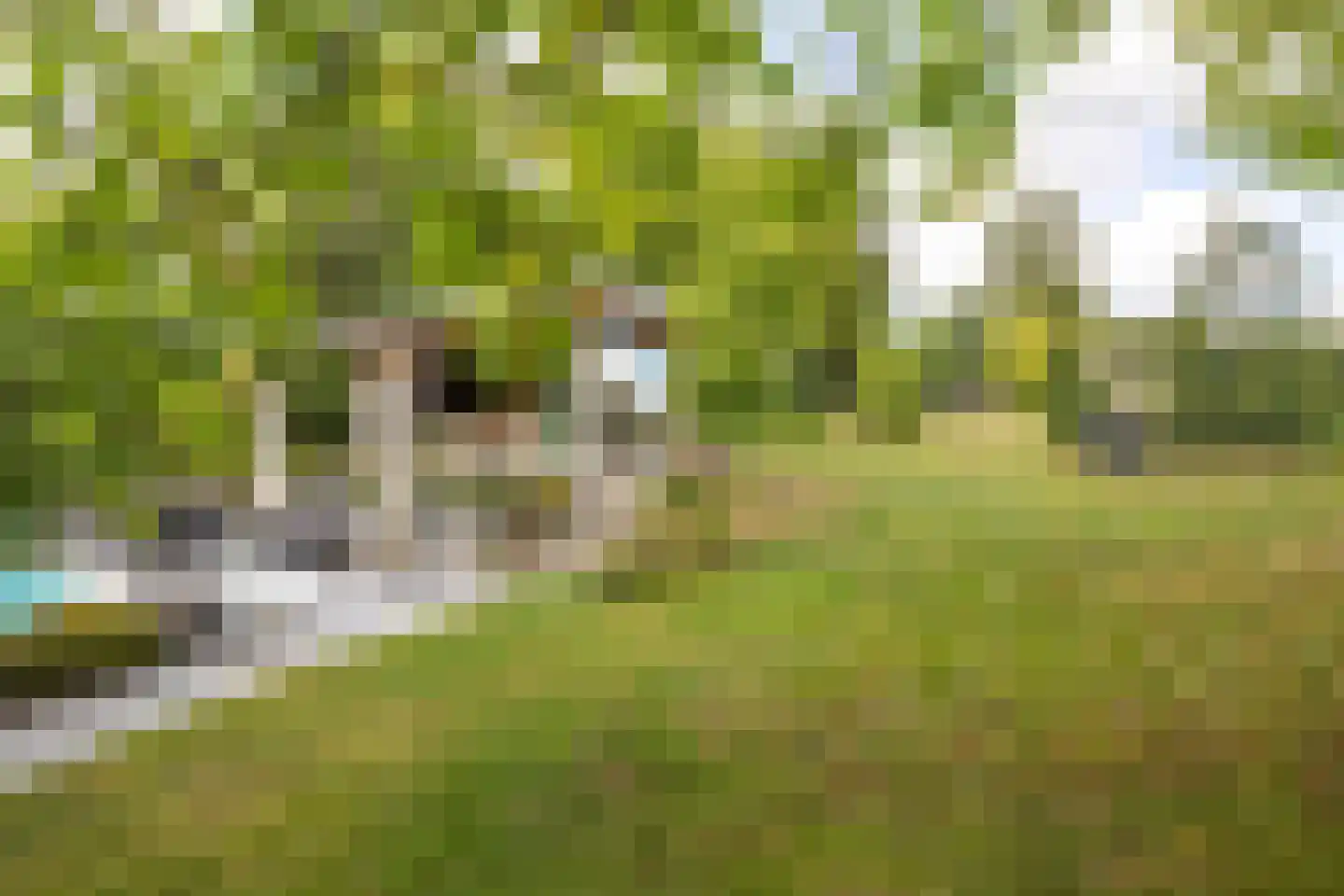 Nieuwenhuysstraat 60 Hulsberg thumbnail 51